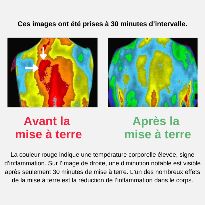 Tapis de Mise à Terre